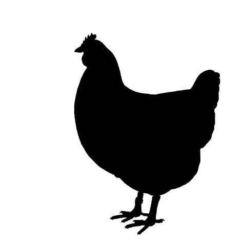 chicken silhouette svg